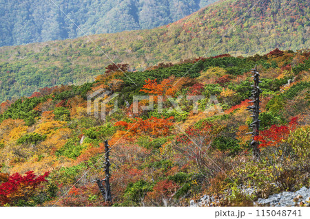 秋の那須岳（茶臼岳）　紅葉するカラフルな山々【栃木県・那須塩原市】 115048741