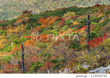 秋の那須岳（茶臼岳）　紅葉するカラフルな山々【栃木県・那須塩原市】 115048742