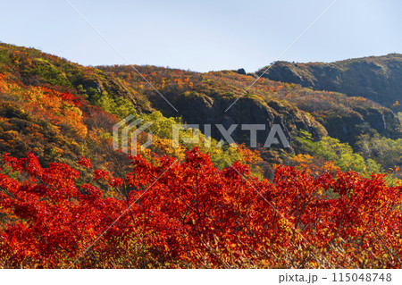 秋の那須岳（茶臼岳）　紅葉するカラフルな登山道を歩く【栃木県・那須塩原市】 115048748