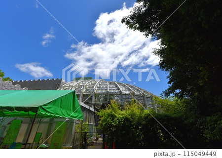 伊丹市昆虫館 伊丹市昆虫館 115049449