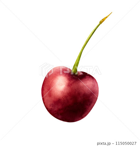Sweet ripe sweet cherry. Hand painting red macro watercolor illustration isolated on background. For designers, menu, shop, decoration, restaurant, for postcards, wrapping paper, covers 115050027