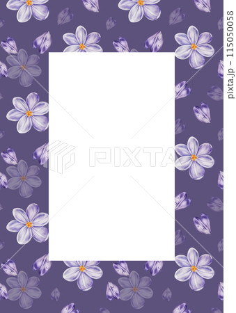 Watercolor postcard, frame, template with violet blooming crocus flower isolated on background. Spring and easter botanical hand painted saffron illustration. For designers, wedding, decoration, Watercolor postcard, frame, template with violet blooming crocus flower isolated on background. Spring and easter botanical hand painted saffron illustration. For designers, wedding, decoration, 115050058