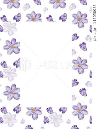 Watercolor postcard, frame, template with violet blooming crocus flower isolated on background. Spring and easter botanical hand painted saffron illustration. For designers, wedding, decoration, 115050083