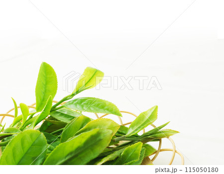 茶葉　新茶 115050180