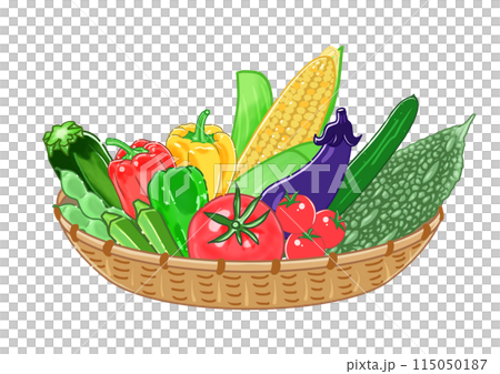 彩色手繪插圖,展示了裝滿新鮮採摘的經典日本夏季蔬菜的籃子。 彩色手繪插圖,展示了裝滿新鮮採摘的經典日本夏季蔬菜的籃子。 115050187