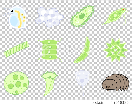 微生物のイラストセット 115050320