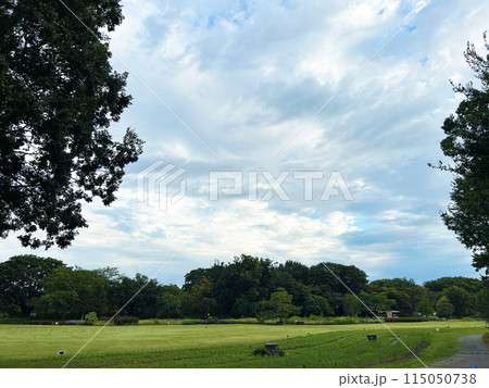 青空と広い公園 115050738