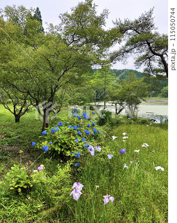 緑の多い公園 115050744