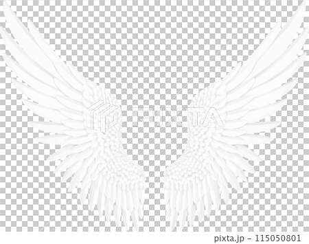 拍打白色的翅膀，天使，上帝，天鵝 115050801