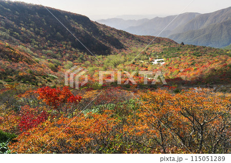 秋の那須岳（茶臼岳）　紅葉する登山道から「姥ヶ平」を眺める【栃木県・那須塩原市】 115051289