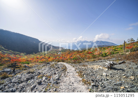 秋の那須岳（茶臼岳）　紅葉する「姥ヶ平」へ続く登山道【栃木県・那須塩原市】 115051295