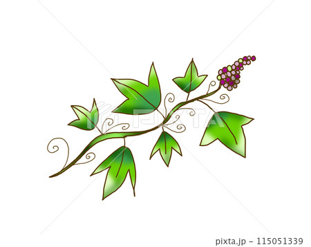 植物のツル　(手書き) 115051339