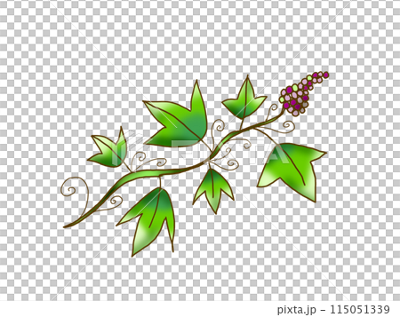 植物のツル　(手書き) 115051339