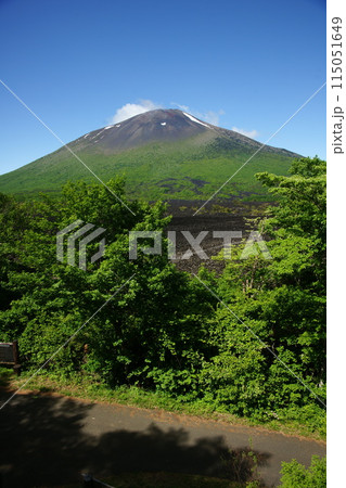 岩手県八幡平市焼走り溶岩流展望台から望む岩手山 115051649