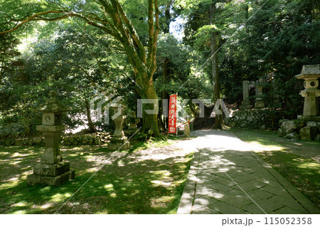 新緑光る瀧安寺 115052358