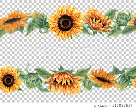 Sunflower with leaf and buds. Wild and garden flower. Horizontal frame with sunflowers. Orange yellow flowers. Floral summer composition with copy space for text. Watercolor illustration. For greeting 115052617