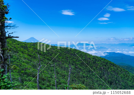 【山岳素材】夏の国師岳から見る山岳風景【山梨県】 115052688