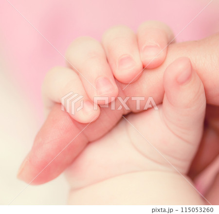 Baby's hand 115053260