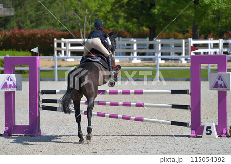 障害馬術大会　　 115054392