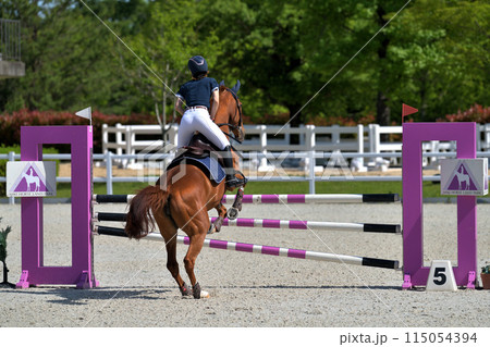 障害馬術大会　　 115054394