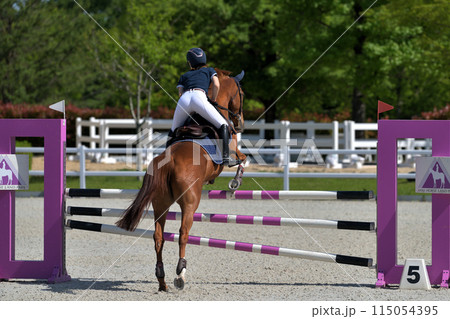 障害馬術大会　　 115054395
