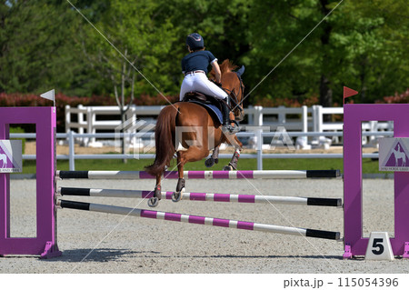 障害馬術大会　　 115054396