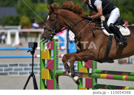 障害馬術大会　　 115054398