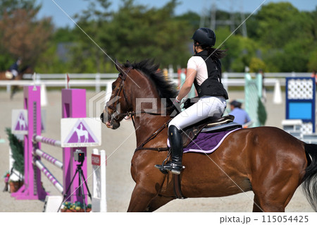 障害馬術大会　　 115054425