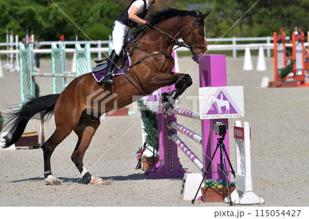 障害馬術大会　　 115054427