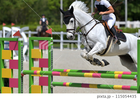 障害馬術大会　　 115054435