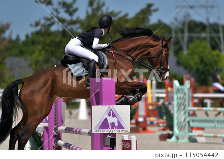 障害馬術大会　　 115054442