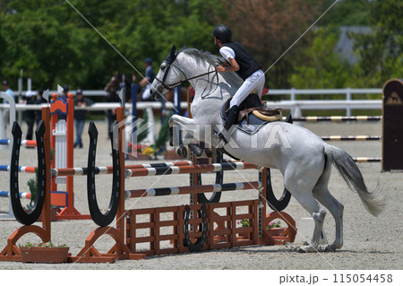 障害馬術大会　 115054458