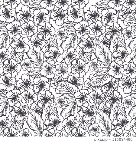 Spring hydrangea line art flower seamlessのイラスト素材
