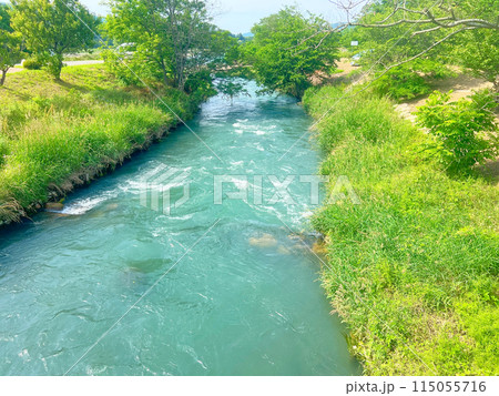 緑の中を流れる清流 115055716