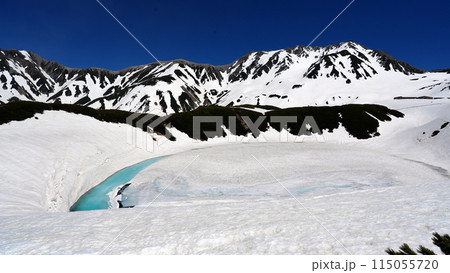 立山連峰と氷結のみくりが池 立山連峰と氷結のみくりが池 115055720