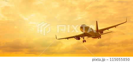 A commercial passenger plane taking off 115055850