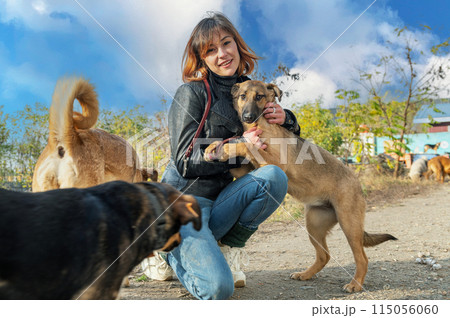 Dog at the shelter. Animal shelter volunteer takes care of dogs. Animal volunteer takes care of homeless animals. Dog at the shelter. Animal shelter volunteer takes care of dogs. Animal volunteer takes care of homeless animals. 115056060