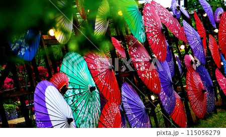 カラフルな和傘 115056279