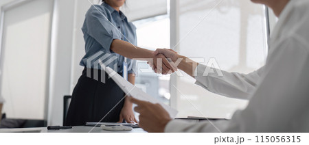 Businesswoman Shaking Hands with Colleague. Concept of Agreement and Professionalism 115056315