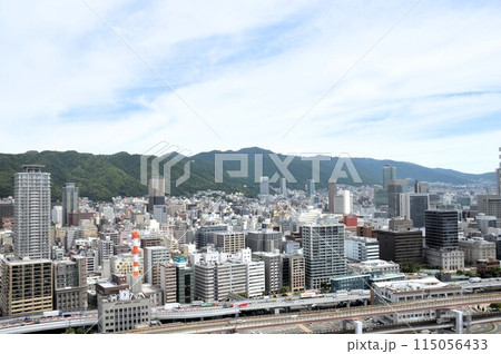 神戸ポートタワーからの眺望 115056433