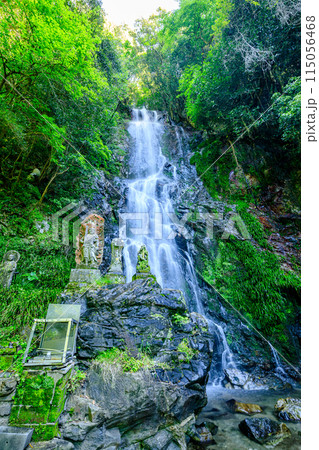 初夏の清水の滝 佐賀県小城市 初夏の清水の滝 佐賀県小城市 115056468