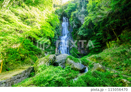 初夏の清水の滝 佐賀県小城市 初夏の清水の滝 佐賀県小城市 115056470