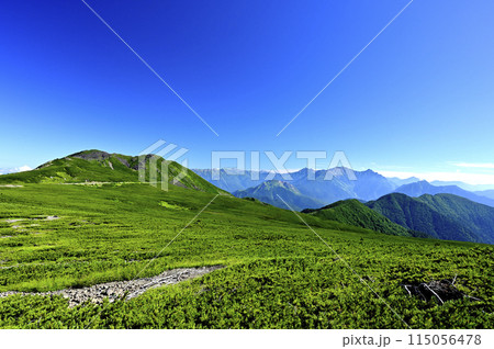 朝の乗鞍大黒岳からの風景(撮影地:乗鞍、大黒岳) 朝の乗鞍大黒岳からの風景(撮影地:乗鞍、大黒岳) 115056478