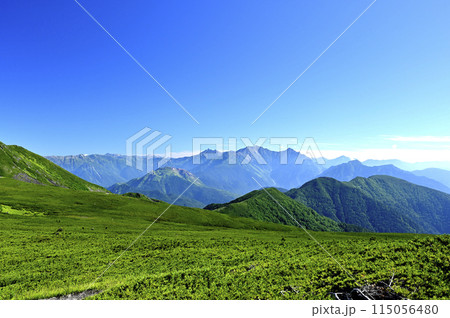 朝の乗鞍大黒岳からの風景（撮影地：乗鞍、大黒岳） 115056480