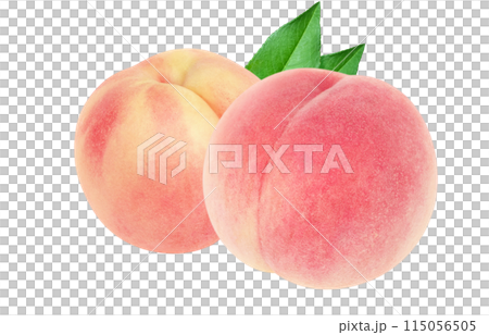 桃圖現實白色背景 115056505