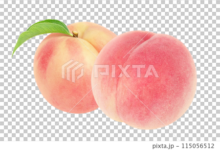 桃圖現實白色背景 115056512