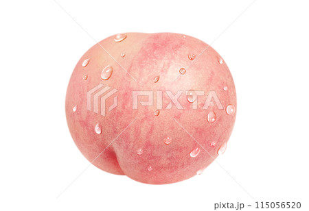 桃のイラスト リアル 白バック 115056520