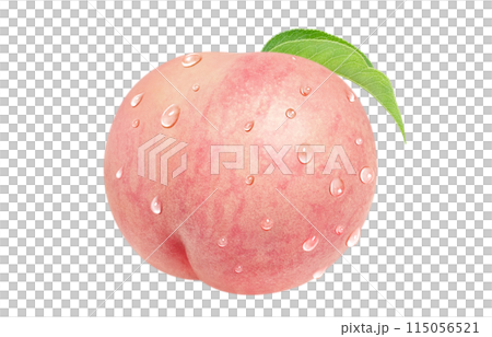 Peach illustration, realistic, white background 115056521