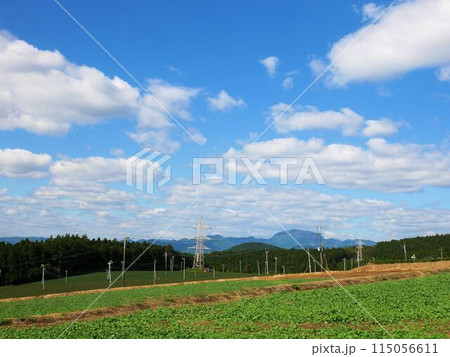 菊池市旭志麓の景色と国見山　（熊本県） 115056611