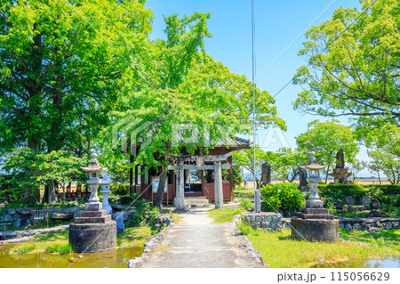 初夏の縫ノ池と川津厳島神社　佐賀県白石町 115056629